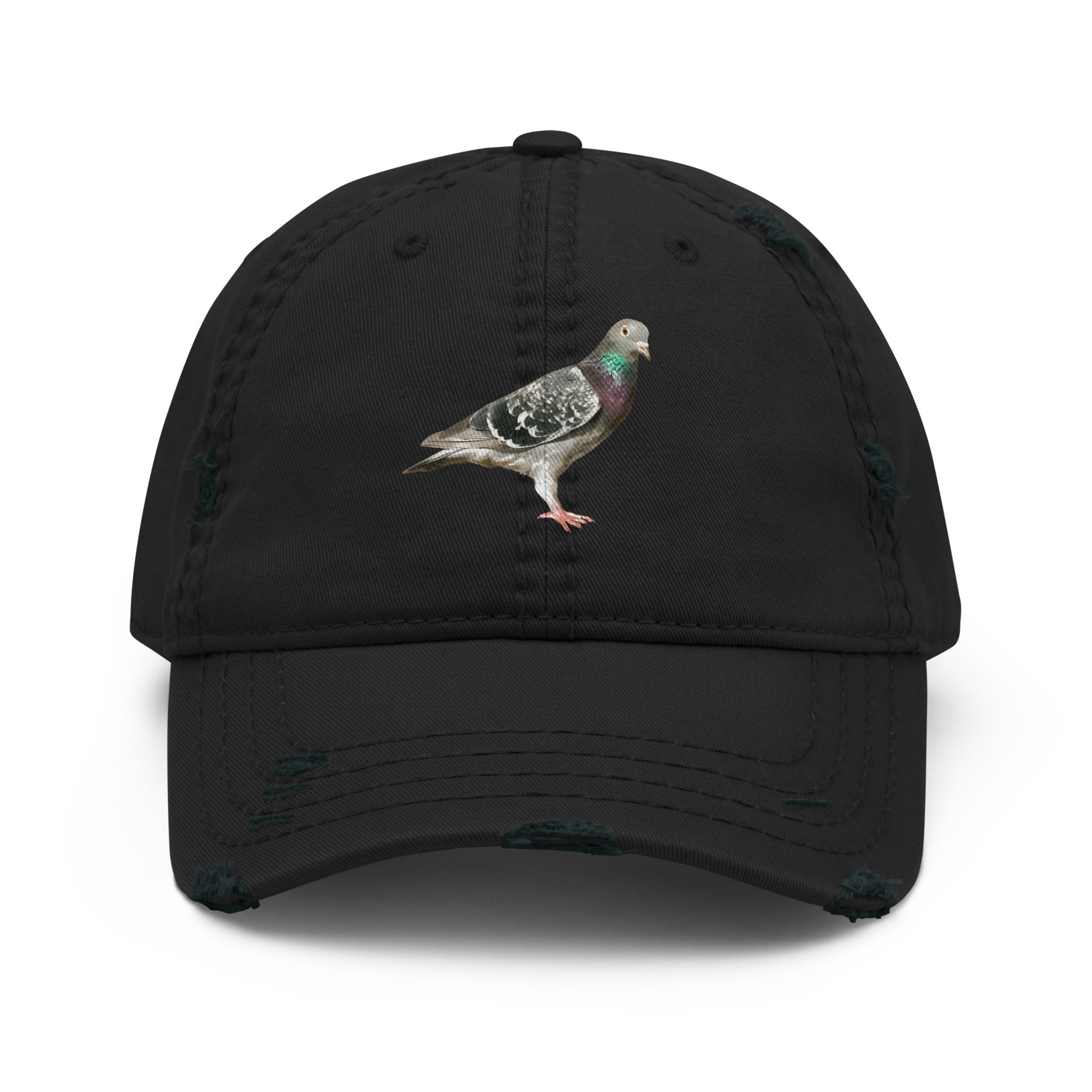 Black distressed Gen XY Archive Cap featuring pigeon artwork